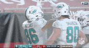 Regular Season Football GIF by NFL