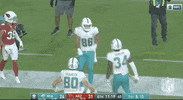 Regular Season Football GIF by NFL