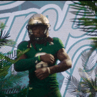 College Football GIF by USF Athletics