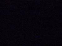 Youtube 90S GIF by Squirrel Monkey