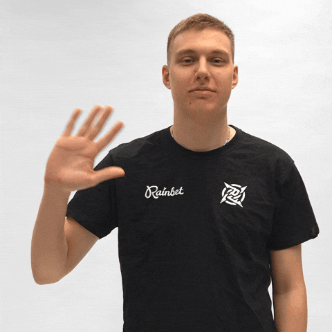 Wave Hello GIF by Ninjas In Pyjamas