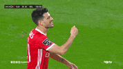 Frustrated Sl Benfica GIF by Sport Lisboa e Benfica