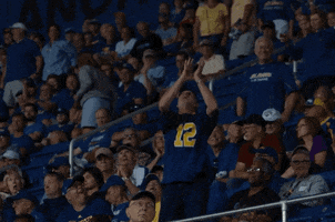 Football Fail GIF by Delaware Blue Hens
