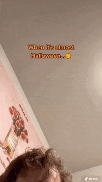 Trick Or Treat Reaction GIF by Friendly Neighbor Records