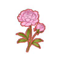 Flower 스티커 Sticker