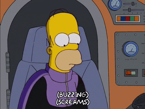 homer simpson episode 10 GIF