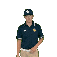 Clarke Golf Sticker by Clarke University
