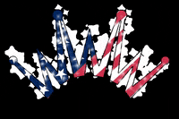 Horse Saddle GIF by Best Ever Pads