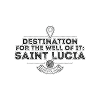 Destinationftwoi Sticker by whelanwellness