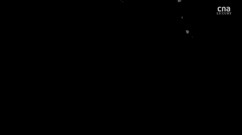 phinwong giphyupload GIF