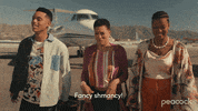 Bel-Air Fancy GIF by PeacockTV