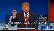 Political gif. Donald Trump stands at a podium and karate chops his hand in the air to seem more serious as he says, “We need to build a wall.”