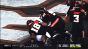 gostanford  GIF