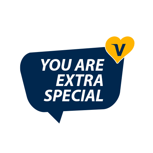 visang  Sticker