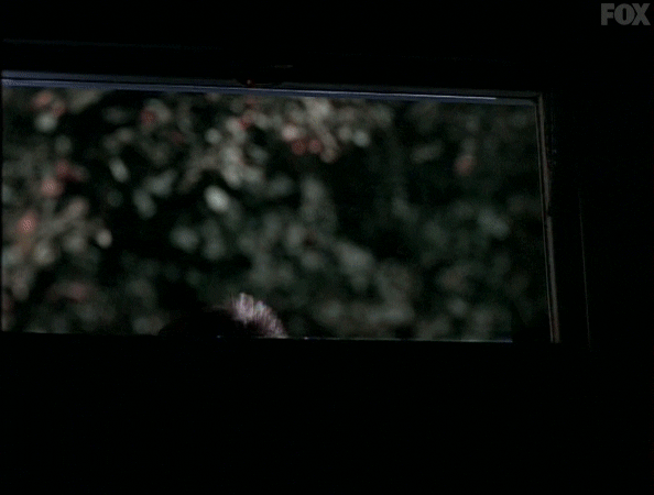 x files GIF by The X-Files