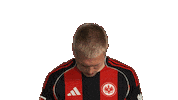 Look Up Eintracht Frankfurt Sticker by Bundesliga