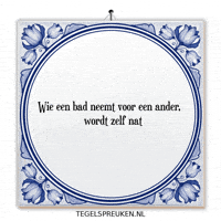 Nl Wijsheid GIF by Tegelspreuken.nl