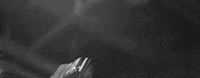 percolator GIF by Charly Bliss