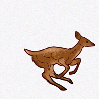 Deer Doe GIF by Contextual.Matters