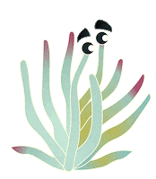 Succulents Fingertips Sticker by California Native Plant Society