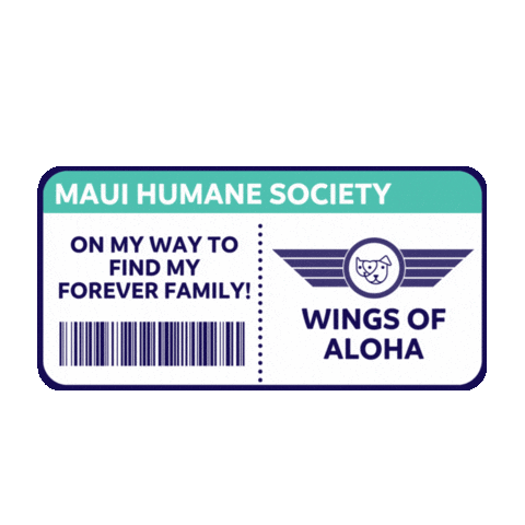 Boarding Pass Mhs Sticker by maui humane society