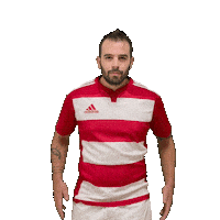 Try Meta Sticker by RIMINI RUGBY