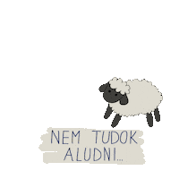 Pipeortuna sleep magyar cant sleep nem Sticker