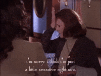 season 3 netflix GIF by Gilmore Girls 