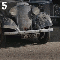 All Creatures Great And Small GIF by Channel5UK