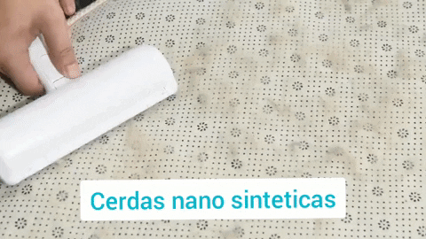 caiobergamo giphygifmaker GIF