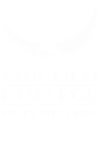 Volbol Sticker by LincolnCollegeChile