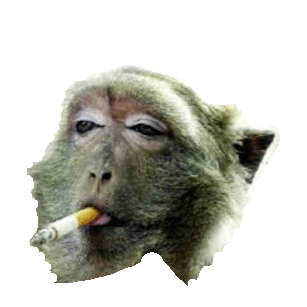 smoke relax STICKER by imoji