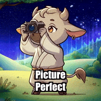 Picture Perfect Photography GIF by Masterfurdinand