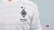 Happy Borussia Moenchengladbach GIF by Bundesliga