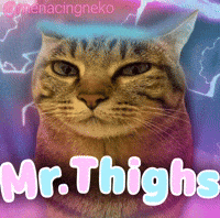 Cat Thighs GIF