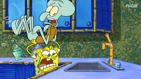 GIF by SpongeBob SquarePants