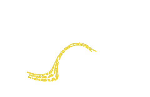 Curso Brogif Sticker by Brother Barcelona