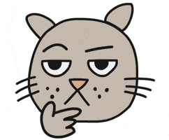 Cat Think GIF by Thank You Coffee
