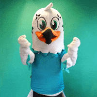 Velo Encourage GIF by B&B HOTELS - KTM