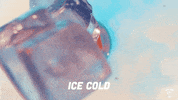 Ice Cold Drinks GIF by Malibu Rum