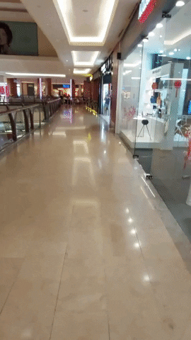 rikcoshim giphygifmaker GIF