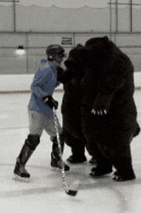 Hockey Hockeyfight GIF by heroboard fitnes