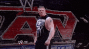 brock lesnar wrestling GIF by WWE