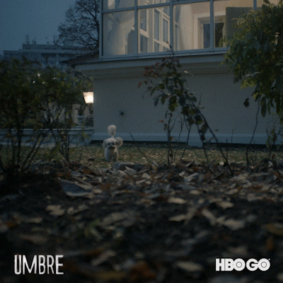 HBO_Romania giphyupload hbogo hbo go umbre GIF