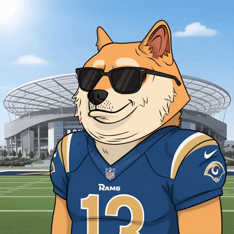 Digital Art Football GIF by Doge Pound