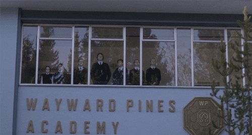 wayward pines GIF by Fox TV