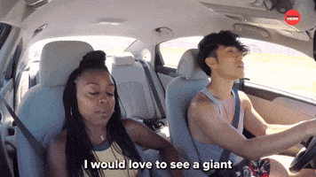 I Would Love To See A Giant Block Of Cheese