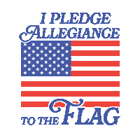 Usa America Sticker by TPUSA Students