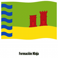 Bandera Andalucia GIF by Formación Ninja