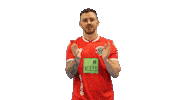 Hannover 96 Fifa Sticker by H96eSports